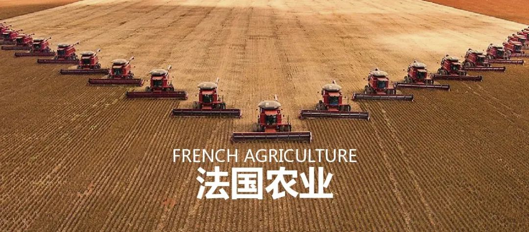 法国农业：欧盟农业大国，靠这6大战略制胜市场